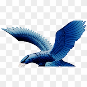 Logo Ateneo Blue Eagles, HD Png Download - german eagle png