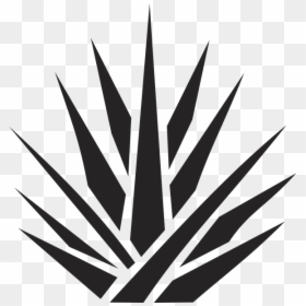 Agave Plant Png Logo, Transparent Png - azul png