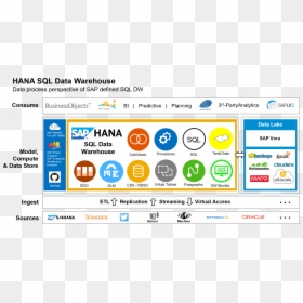 Sap Se, HD Png Download - landscape icon png