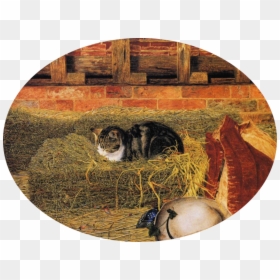 Rosa Brett The Hayloft, HD Png Download - coração png tumblr