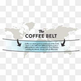 Coffee Can Only Be Grown In Certain Areas Of The World - Snow, HD Png Download - fun fact png