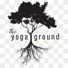 Tree And Roots Png, Transparent Png - tree and roots png