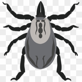 Parasite Png, Transparent Png - parasite png