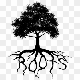 Parents Are The Roots, HD Png Download - tree and roots png