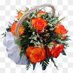 Orange Rose Flowers, HD Png Download - orange rose png