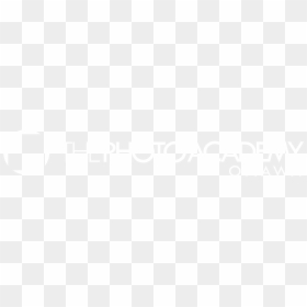 Minions Aniversario Png, Transparent Png - minions aniversario png