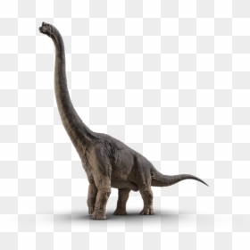 Brachiosaurus - Jurassic Park Brachiosaurus Png, Transparent Png - jurassic world dinosaurs png