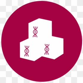 Stem Cell Transplantation Symbol, HD Png Download - english icon png