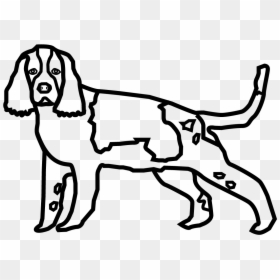 Springer Spaniel Icon, HD Png Download - english icon png