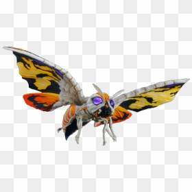 Free Render For Use - Mothra 2001 Transparent, HD Png Download - giant monster png