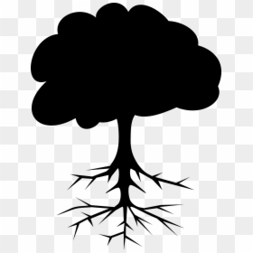 Tree Drawing With Fruits Clipart , Png Download - All Part Of Tree, Transparent Png - tree section png