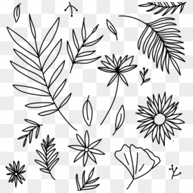 Floral Design, HD Png Download - fall leaves .png