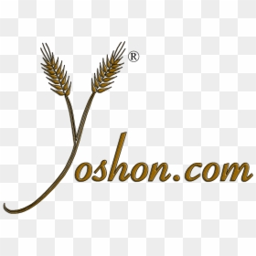 Yoshon - Com - Illustration, HD Png Download - trader joes png