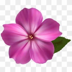 Download Flower Free Png Transparent Image And Clipart - Colorful Flower Design Drawing, Png Download - png plants for photoshop