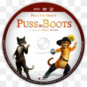 Image Id - - Puss In Boots Shrek, HD Png Download - puss in boots png