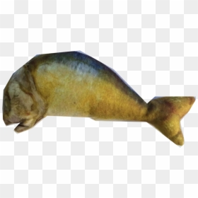 Harbor Seal, HD Png Download - catnip png