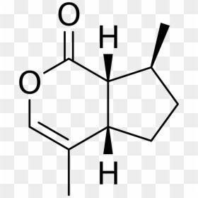 Hypoxanthine Structure, HD Png Download - catnip png