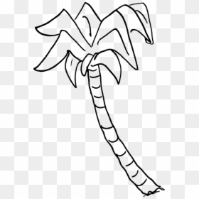 Transparent Palm Trees Clip Art - Palm Tree Drawing Png, Png Download - palm tree drawing png