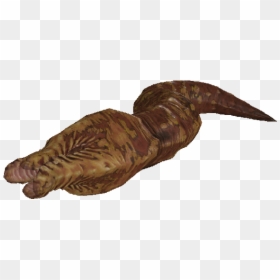 Dlc04 Encbloodworm03 Venomous - Fallout 4 Larva Bloodworm, HD Png Download - larva png