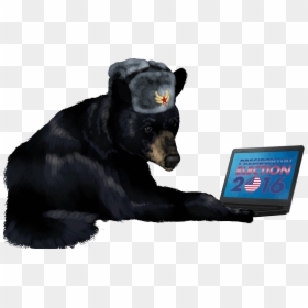 Russian Bear Hacking Election - Russian Bear Transparent, HD Png Download - russian bear png
