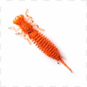 023 - Larva Fanatik Baits 1.6, HD Png Download - larva png