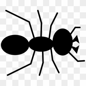 Ant Clipart, HD Png Download - pest png
