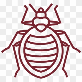 Outline Picture Of Bedbug, HD Png Download - pest png