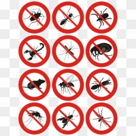 Pest Control Icons Png, Transparent Png - pest png