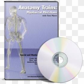 Myofascial Meridians - Anatomy Trains [cdrom]., HD Png Download - blank dvd png