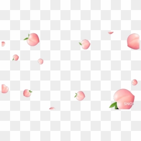 #peach #peaches #icon #icons #sticker #trasparent #trasparente - Strawberry, HD Png Download - strawberry icon png