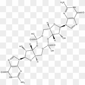 Diagram, HD Png Download - gmp png