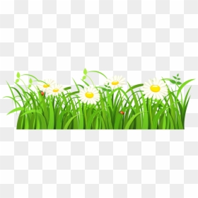 Green Grass Vector Png, Transparent Png - grass png