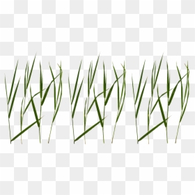 Free Grass Blade Texture, HD Png Download - grass png