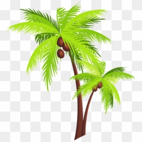 Coconut Tree Clipart, HD Png Download - palm tree png