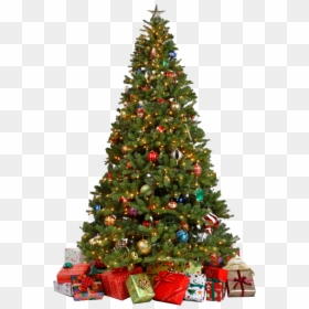 Decorated Christmas Tree Png, Transparent Png - christmas tree png