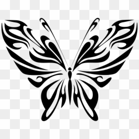 Butterfly Drawing Line Art, HD Png Download - butterfly png