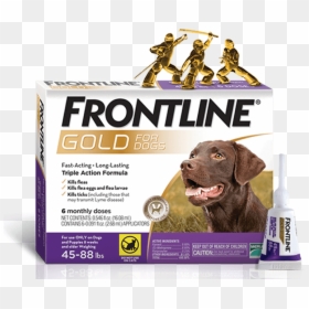 Frontline Gold Feline, HD Png Download - dog png