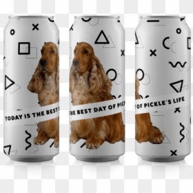 Basset Hound, HD Png Download - dog png