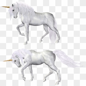 Unicorn, HD Png Download - unicorn png