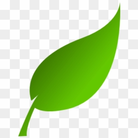 Clipart Leaf, HD Png Download - leaf png