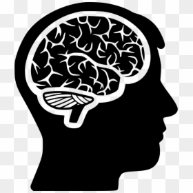 Brain In Head Png, Transparent Png - brain png