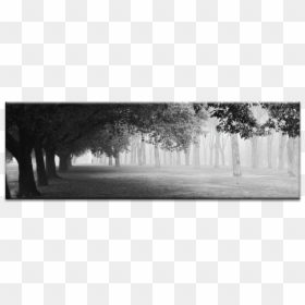 Monochrome, HD Png Download - fog png