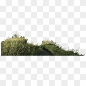 Mountain Grass Png, Transparent Png - transparent png