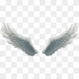 Angel Wings For Picsart, HD Png Download - angel wings png