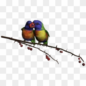 Good Morning Afternoon Evening Night, HD Png Download - bird png