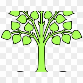 Coloring For Class 8, HD Png Download - trees png