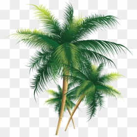 Trees Png, Transparent Png - trees png