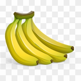 Flash Cards Fruits, HD Png Download - banana png