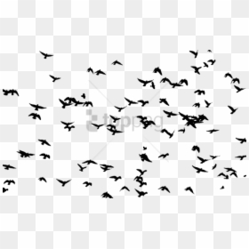 Flock Of Birds Transparent, HD Png Download - birds png
