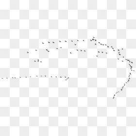 Flock, HD Png Download - birds png